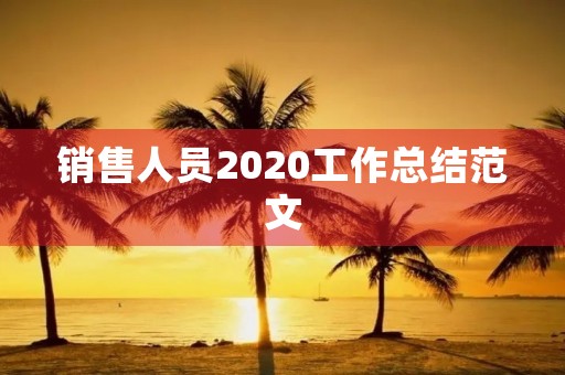 销售人员2020工作总结范文