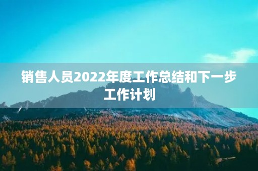 销售人员2022年度工作总结和下一步工作计划(10篇)