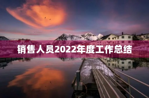 销售人员2022年度工作总结