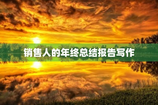 销售人的年终总结报告写作