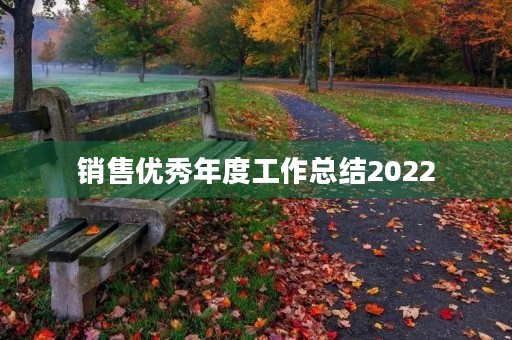 销售优秀年度工作总结2022