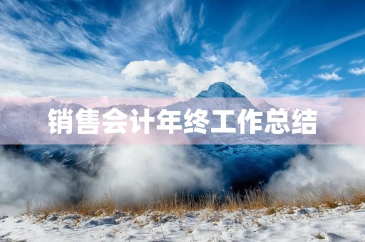 销售会计年终工作总结 销售会计年终工作总结