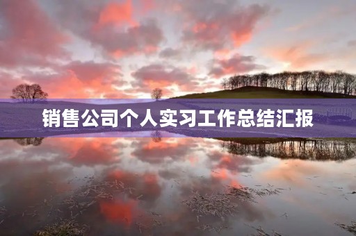 销售公司个人实习工作总结汇报