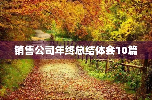 销售公司年终总结体会10篇