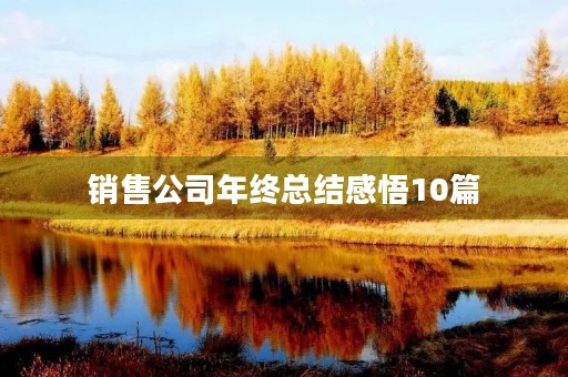 销售公司年终总结感悟10篇 销售公司年终总结感悟10篇