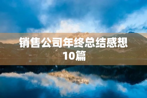 销售公司年终总结感想10篇