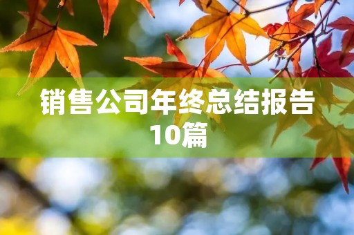 销售公司年终总结报告10篇