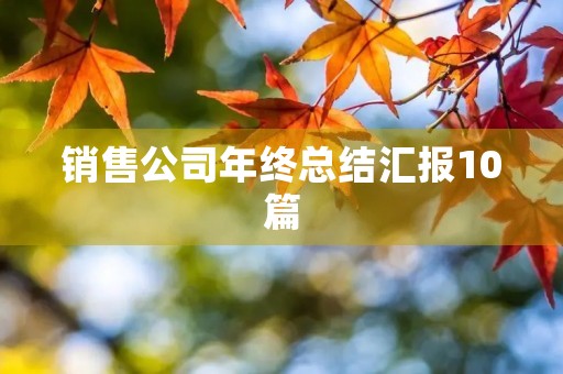 销售公司年终总结汇报10篇