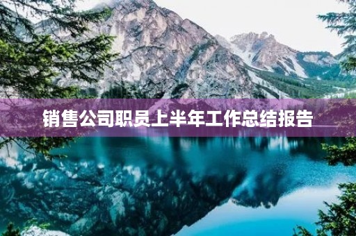 销售公司职员上半年工作总结报告