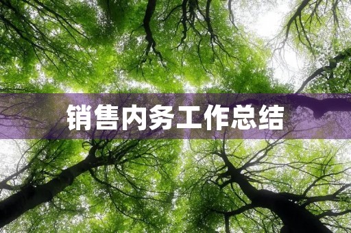 销售内务工作总结
