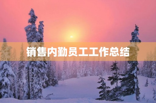 销售内勤员工工作总结