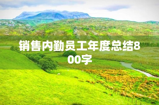 销售内勤员工年度总结800字