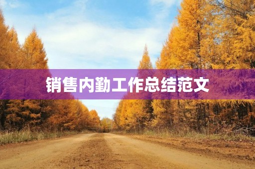 销售内勤工作总结范文