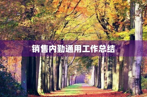 销售内勤通用工作总结