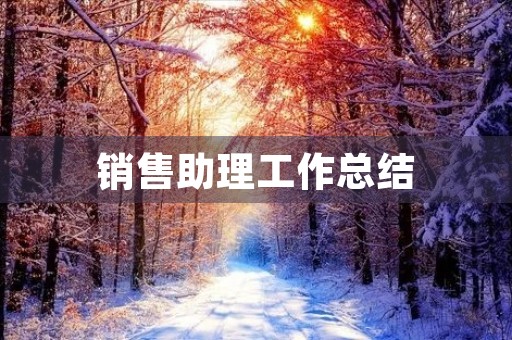 销售助理工作总结