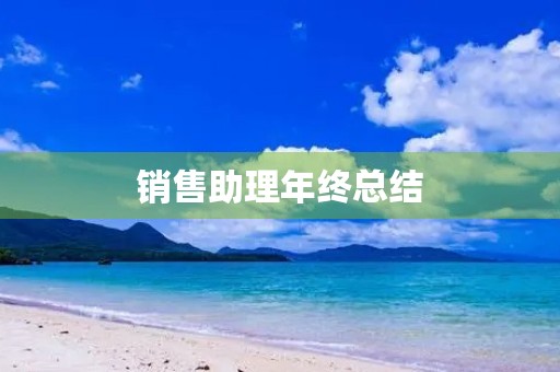 销售助理年终总结