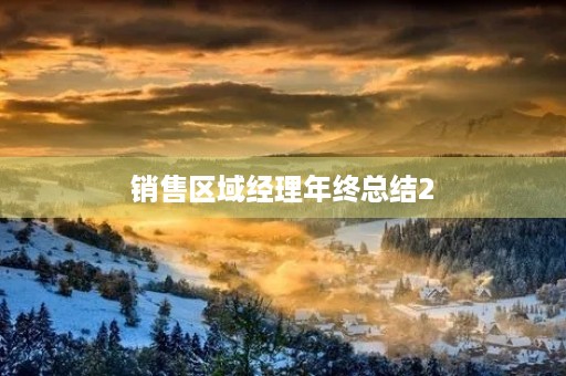 销售区域经理年终总结2
