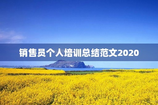 销售员个人培训总结范文2020