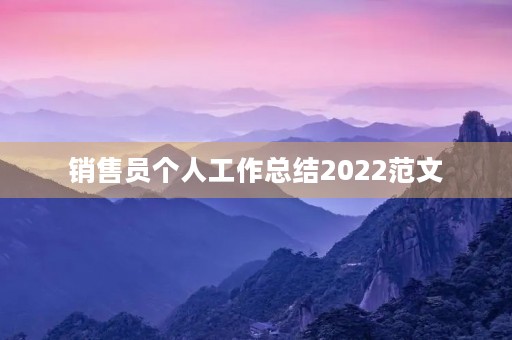 销售员个人工作总结2022范文