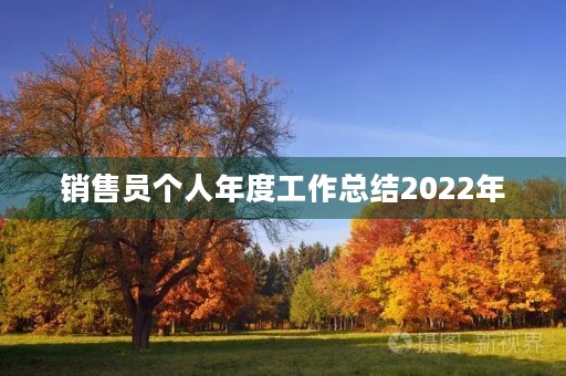 销售员个人年度工作总结2022年