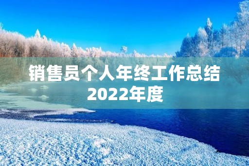 销售员个人年终工作总结2022年度 销售员个人年终工作总结2022年度