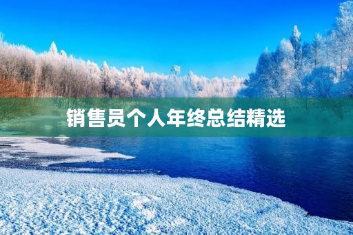 销售员个人年终总结精选