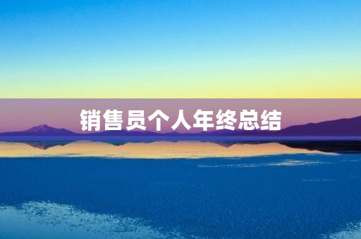 销售员个人年终总结