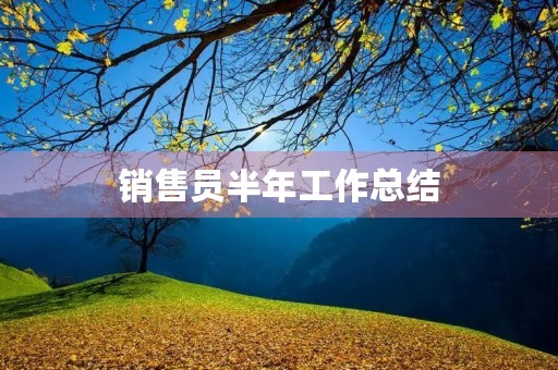 销售员半年工作总结