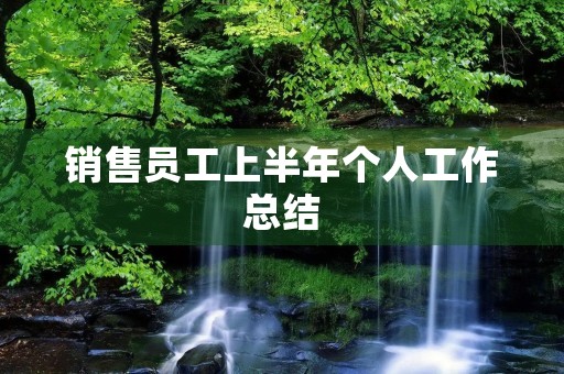 销售员工上半年个人工作总结