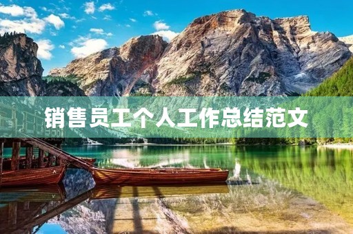 销售员工个人工作总结范文