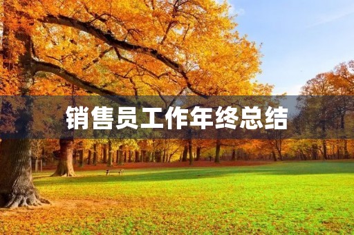销售员工作年终总结