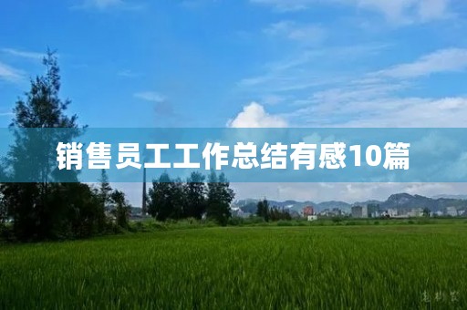销售员工工作总结有感10篇