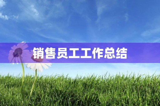 销售员工工作总结