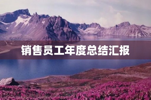 销售员工年度总结汇报【7篇】