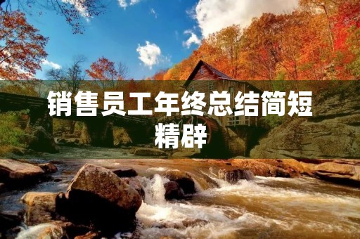 销售员工年终总结简短精辟