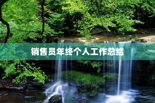 销售员年终个人工作总结