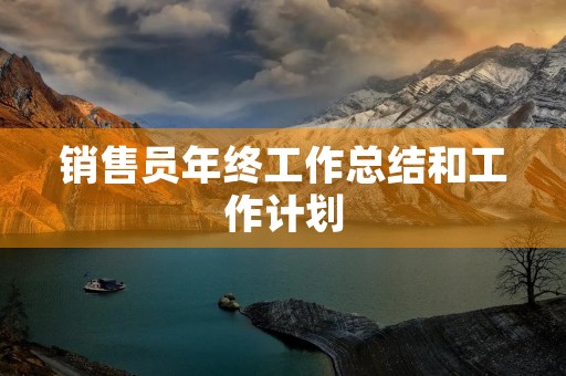 销售员年终工作总结和工作计划