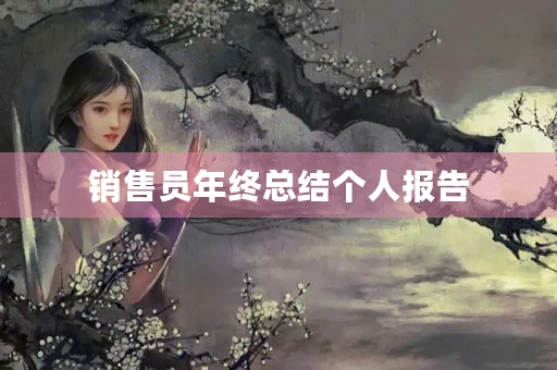 销售员年终总结个人报告