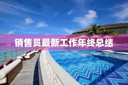 销售员最新工作年终总结