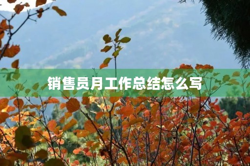 销售员月工作总结怎么写