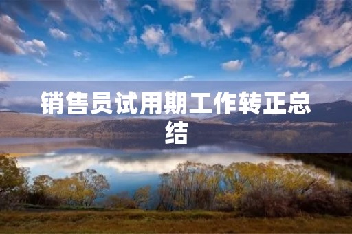 销售员试用期工作转正总结