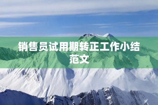 销售员试用期转正工作小结范文