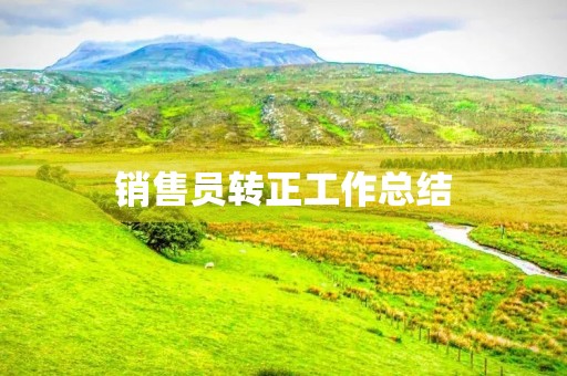 销售员转正工作总结