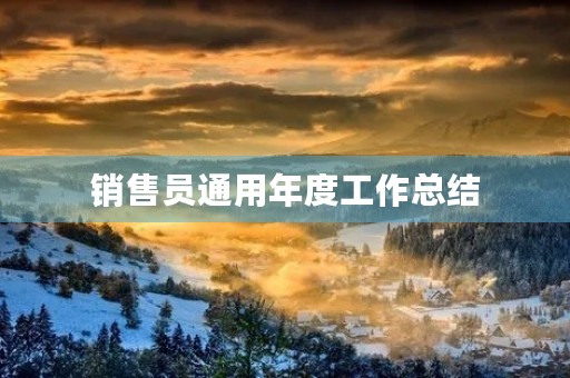销售员通用年度工作总结