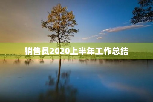 销售员2020上半年工作总结