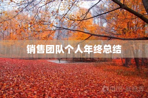 销售团队个人年终总结