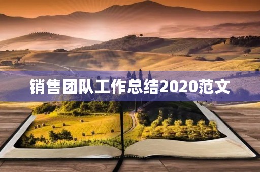 销售团队工作总结2020范文