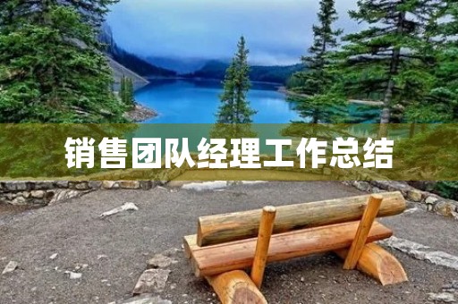 销售团队经理工作总结