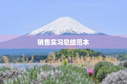销售实习总结范本