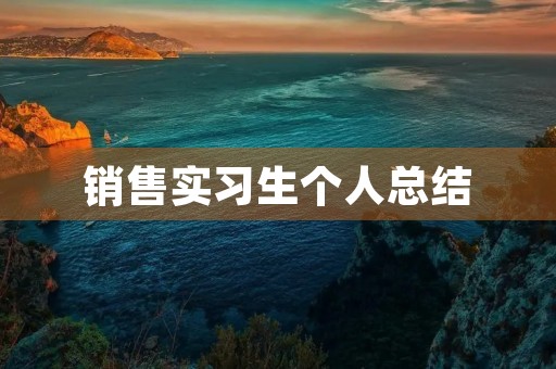 销售实习生个人总结 销售实习生个人总结